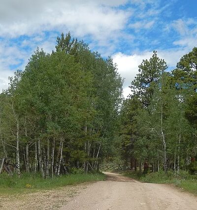 Front Range Trailhead - Nederland, CO