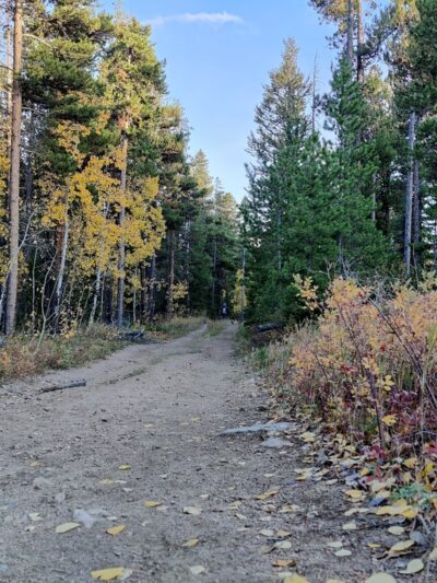 Front Range Trailhead - Nederland, CO