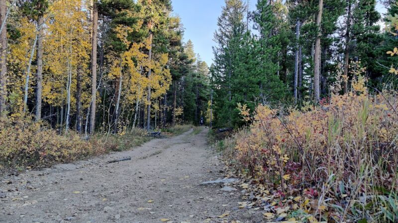 Front Range Trailhead - Nederland, CO