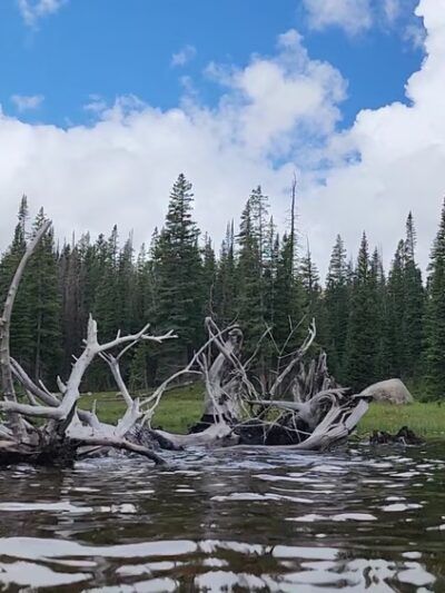 Hessie Trailhead - Nederland, CO