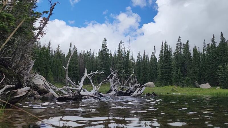 Hessie Trailhead - Nederland, CO