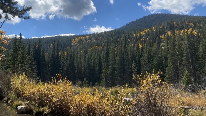 Hessie Trailhead - Nederland, CO