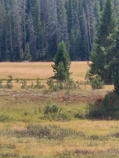 Junco Lake Trailhead - Nederland, CO
