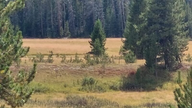 Junco Lake Trailhead - Nederland, CO