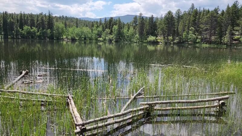 Mud Lake - Nederland, CO