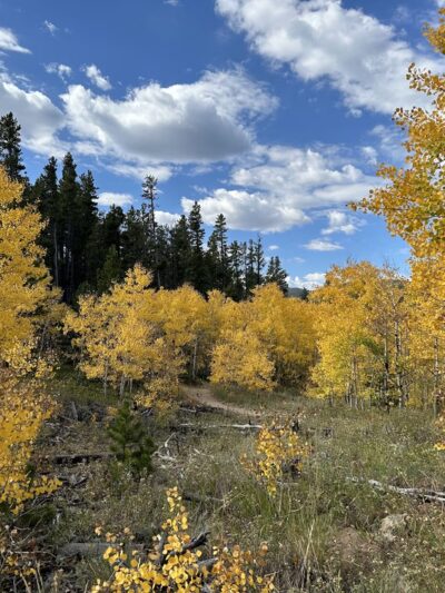 West Magnolia TH - Nederland, CO