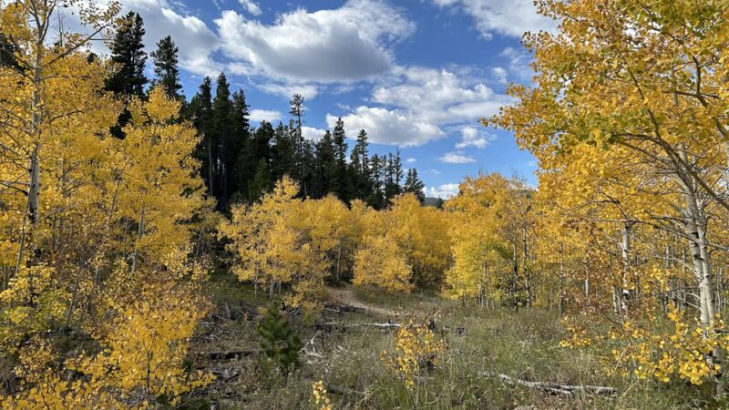 West Magnolia TH - Nederland, CO