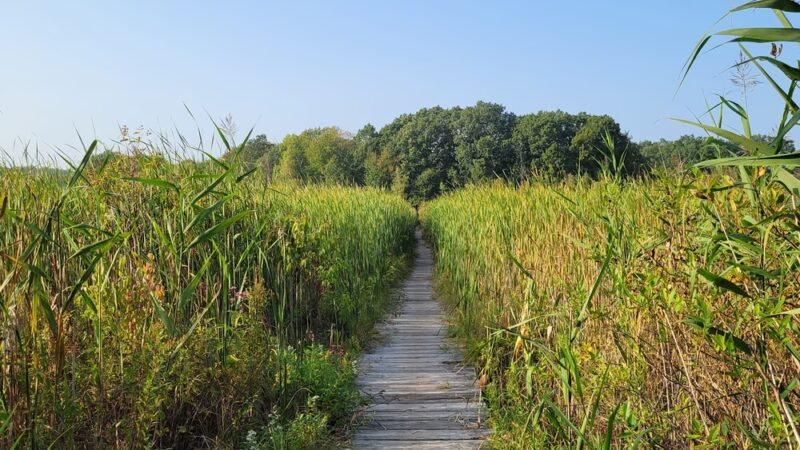 Cutler Park Reservation - Needham, MA