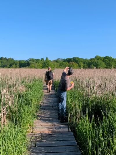 Cutler Park Reservation - Needham, MA