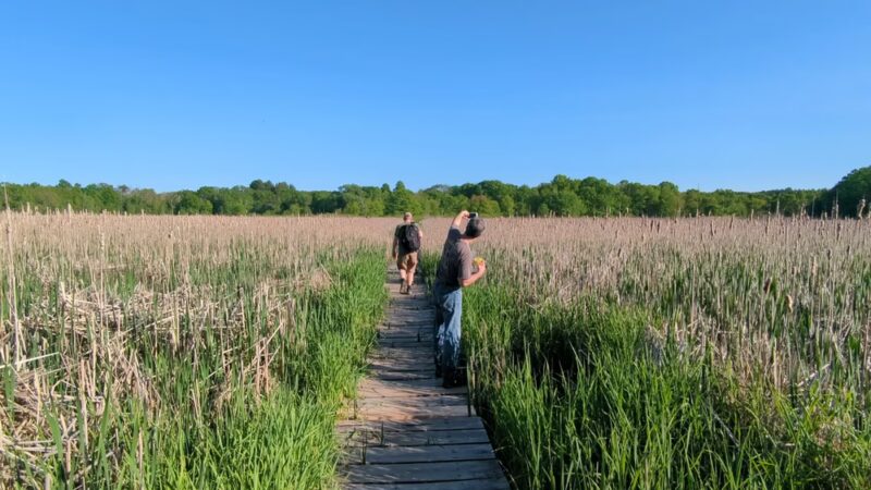 Cutler Park Reservation - Needham, MA