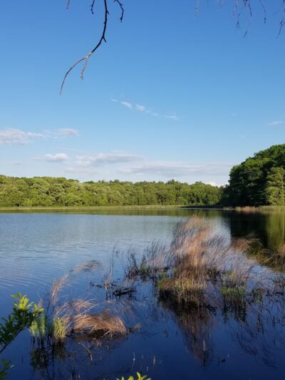 Cutler Park Reservation - Needham, MA