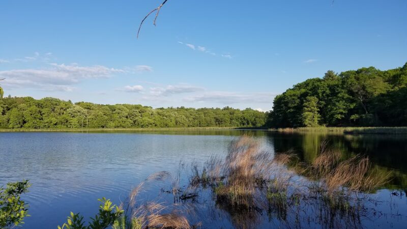 Cutler Park Reservation - Needham, MA