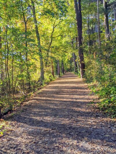 Cutler Park Reservation - Needham, MA