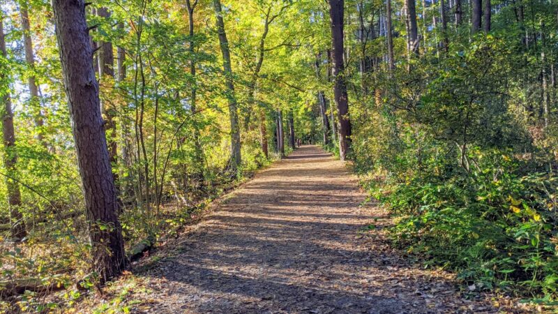 Cutler Park Reservation - Needham, MA