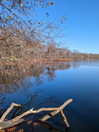 Cutler Park Reservation - Needham, MA