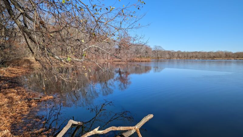 Cutler Park Reservation - Needham, MA