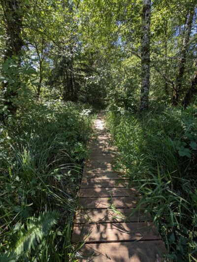 Elk Meadows Park - Nehalem, OR