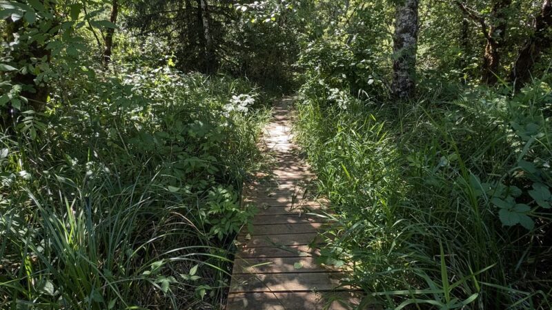 Elk Meadows Park - Nehalem, OR