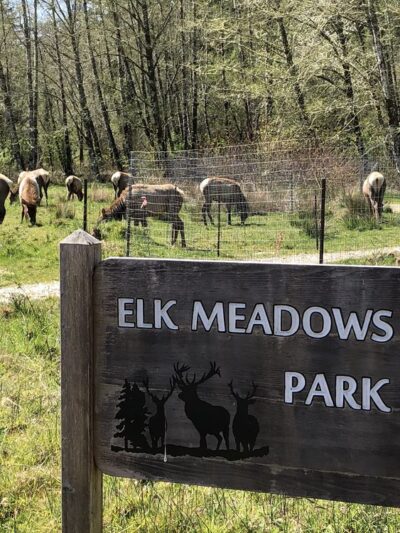 Elk Meadows Park - Nehalem, OR