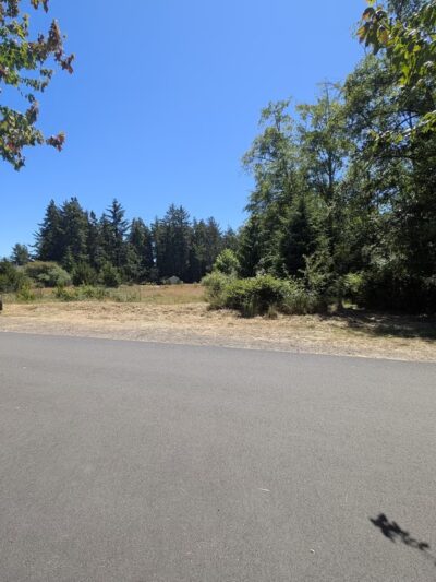 Elk Meadows Park - Nehalem, OR