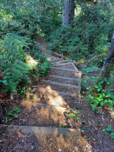 Elk Meadows Park - Nehalem, OR