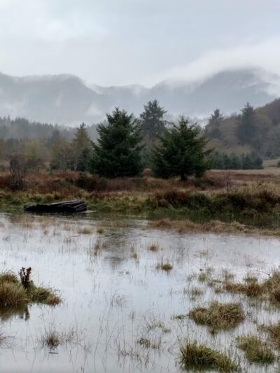 Nehalem City Park - Nehalem, OR