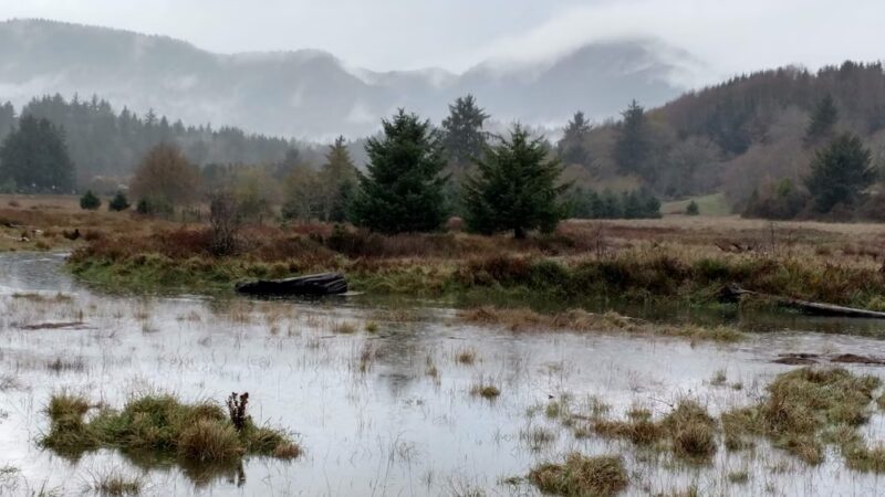 Nehalem City Park - Nehalem, OR