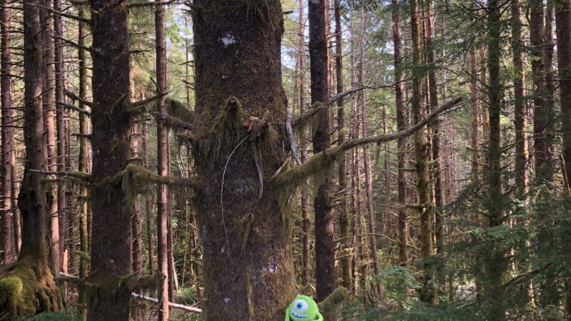 North Fork Nehalem County Park - Nehalem, OR