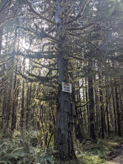 North Fork Nehalem County Park - Nehalem, OR