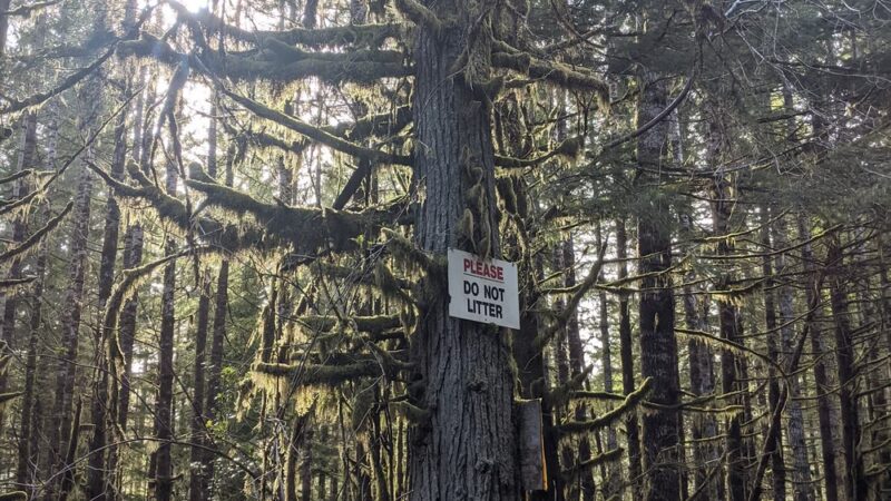 North Fork Nehalem County Park - Nehalem, OR
