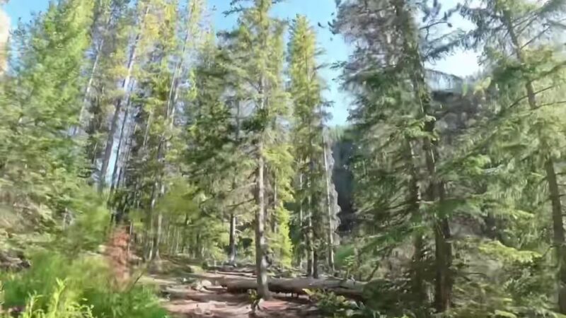 Memorial Falls Trailhead - Neihart, MT