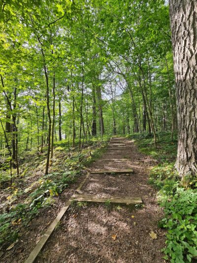 Listeman Arboretum - Neillsville, WI