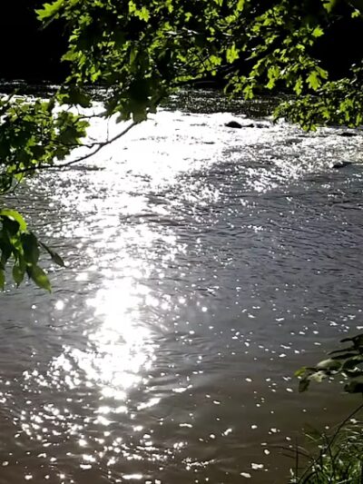 Listeman Arboretum - Neillsville, WI