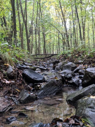 Listeman Arboretum - Neillsville, WI