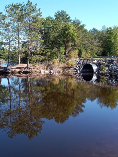 Snyder County Park & Campground - Neillsville, WI