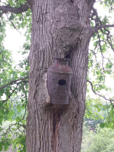 Snyder County Park & Campground - Neillsville, WI