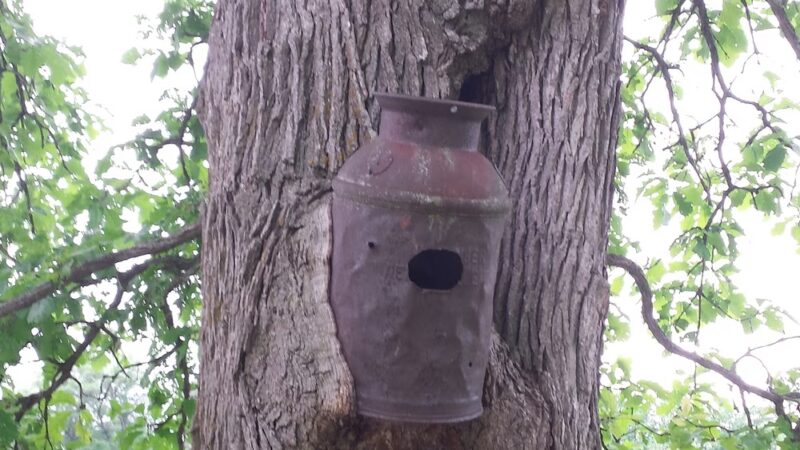 Snyder County Park & Campground - Neillsville, WI