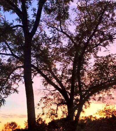 Shelter House Park - Neodesha, KS