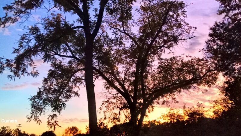 Shelter House Park - Neodesha, KS