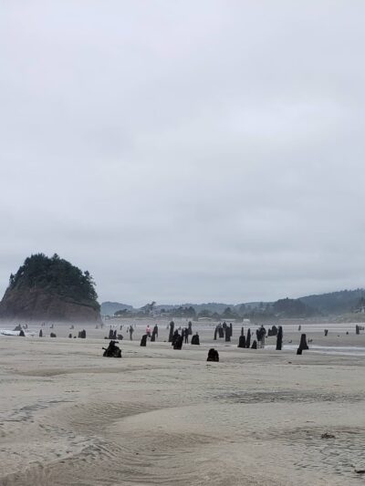 Neskowin Beach State Recreation Site - Neskowin, OR