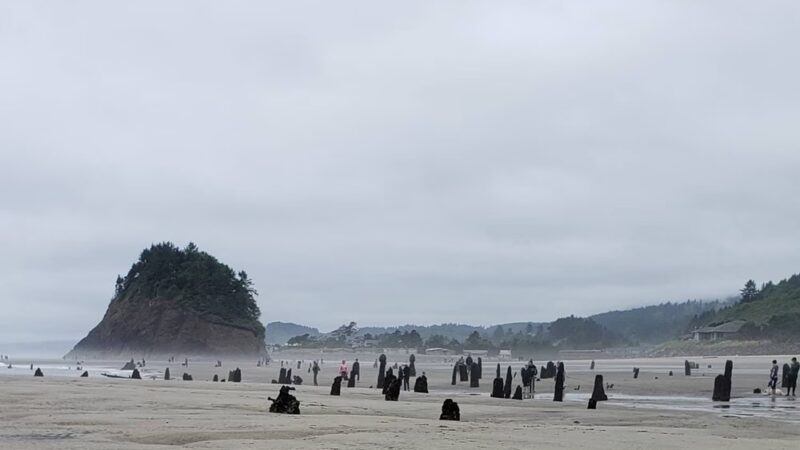 Neskowin Beach State Recreation Site - Neskowin, OR