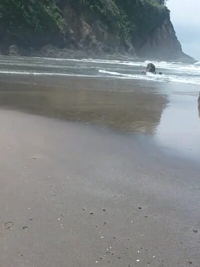 Neskowin Beach State Recreation Site - Neskowin, OR