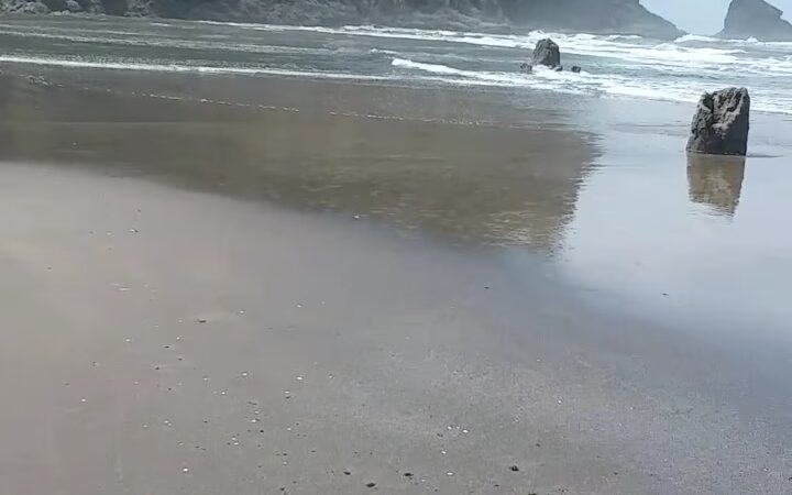 Neskowin Beach State Recreation Site - Neskowin, OR