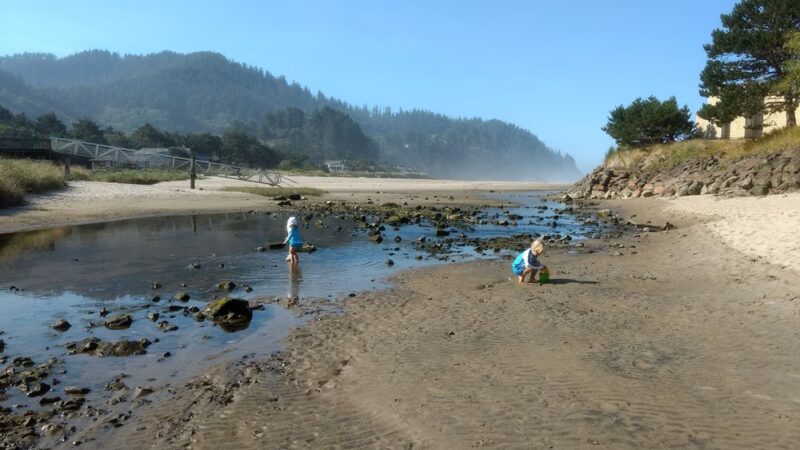 Neskowin Beach State Recreation Site - Neskowin, OR