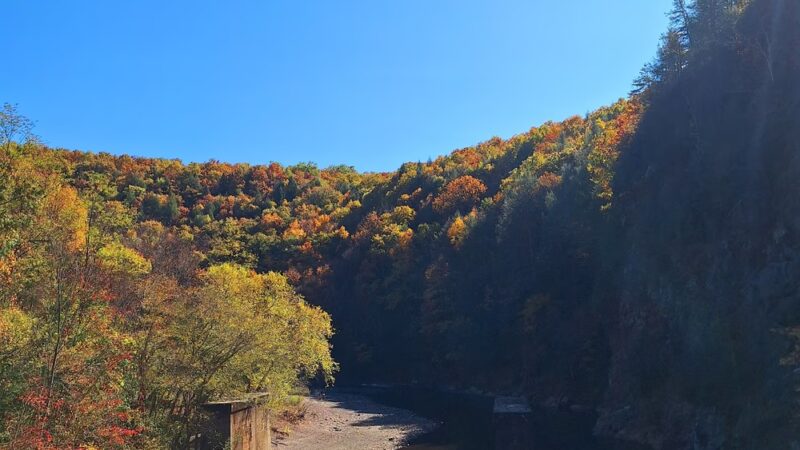 Lehigh Gorge Trail Bridge - Nesquehoning, PA