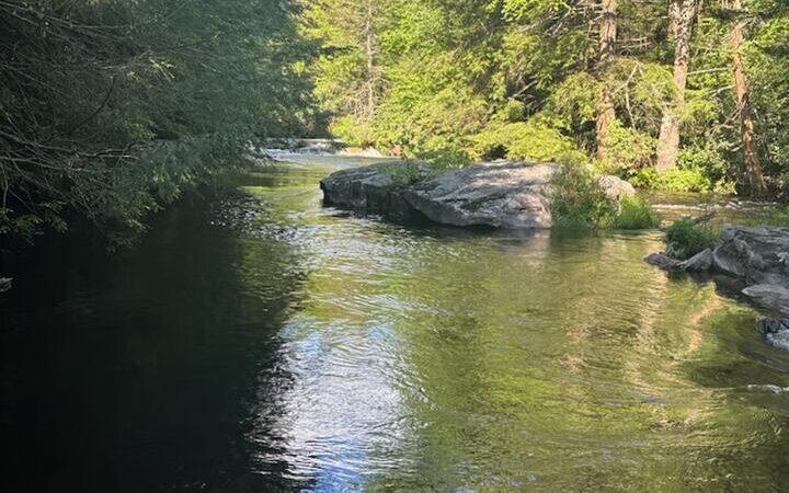 Lower's Grove - Nesquehoning, PA