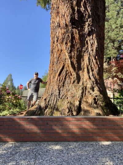 Calanan Park - Nevada City, CA