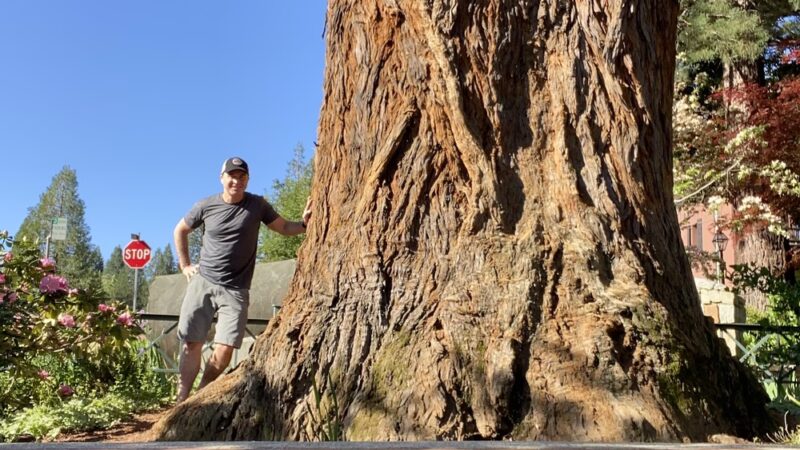 Calanan Park - Nevada City, CA