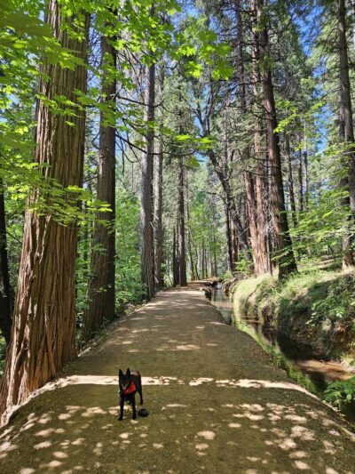 Cascade Canal Trailhead - Bear Yuba Land Trust - Nevada City, CA