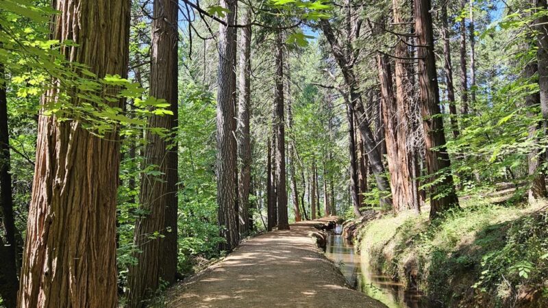 Cascade Canal Trailhead - Bear Yuba Land Trust - Nevada City, CA